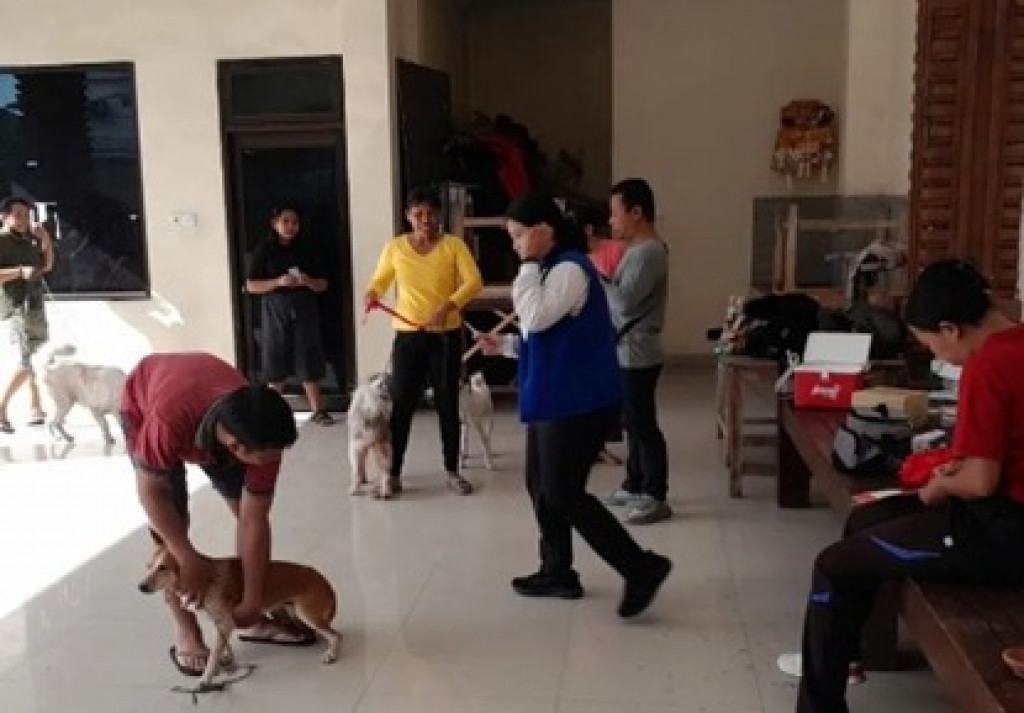 Sinergitas Dinas Pertanian dan Pangan Kabupaten Badung pada Kegiatan Vaksinasi Rabies massal di Desa Dalung